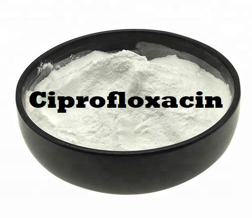 Ciprofloxacin hydrochloride price